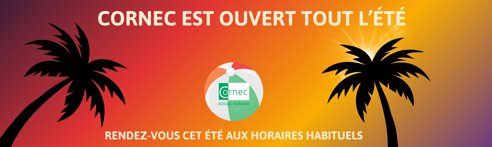 Copie de Copie de Affiche info VIP places à gagner Gala